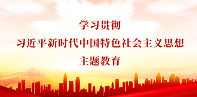 学习贯彻习近平新时代中国特色社会主义思想主题教育
