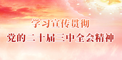 学习贯彻党的二十届三中全会精神